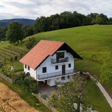 Vineyard Near Rajhenburg Castle Brestanica