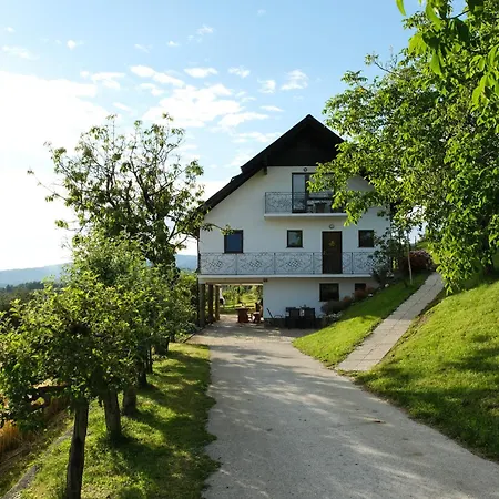 Gostinjska kuća Vineyard Near Rajhenburg Castle